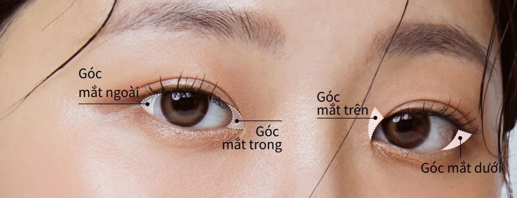 các góc mắt có thể mở.