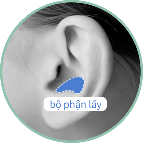 Sụn tai được dùng khi nâng mũi.