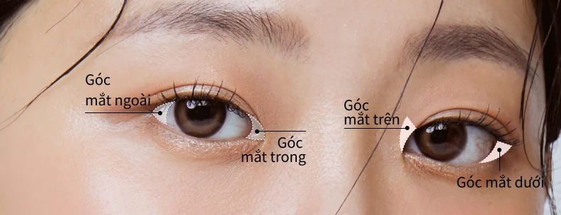 các góc mắt có thể mở.